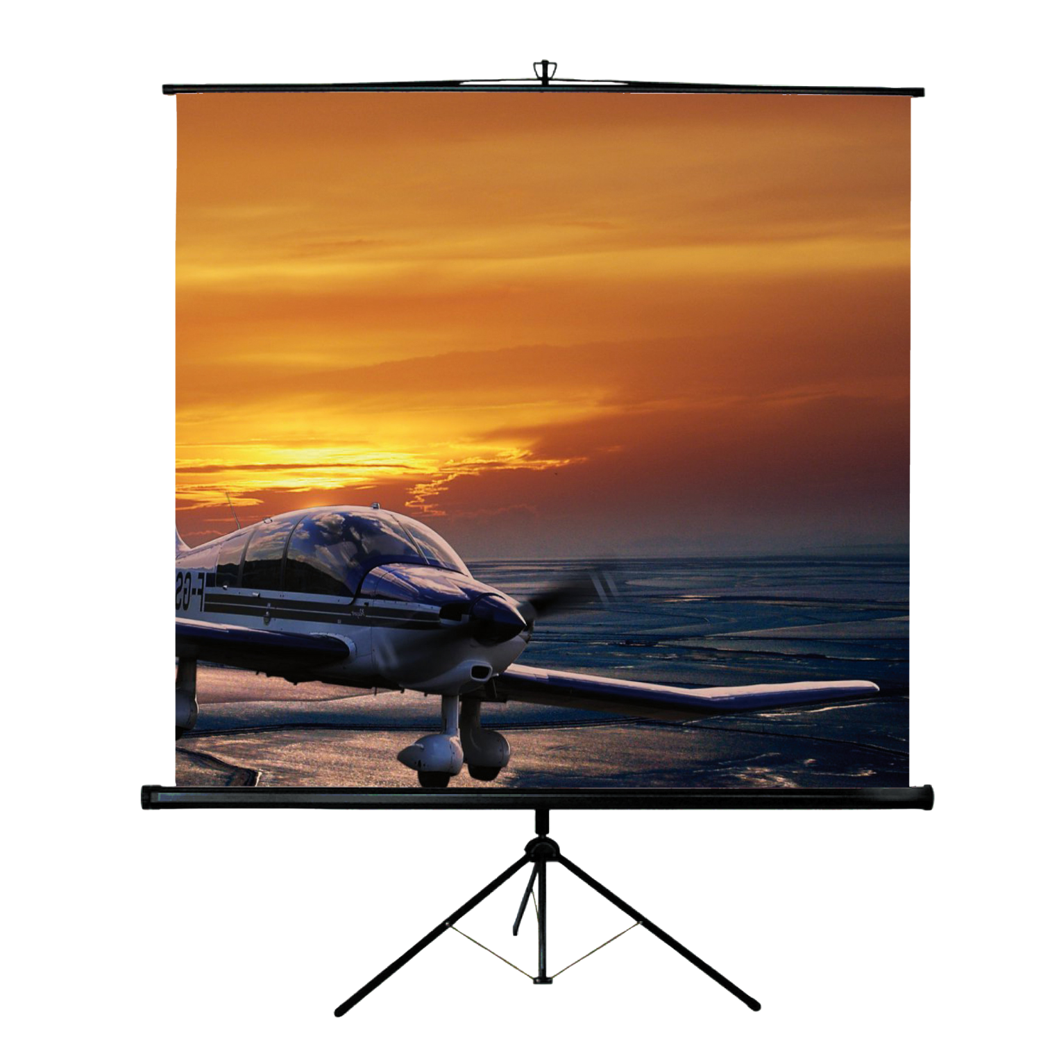ECRAN_PROJECTION